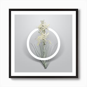 Vintage Yellow Asphodel Minimalist Botanical Geometric Circle on Soft Gray Art Print