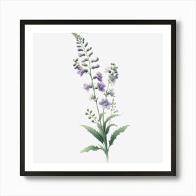 Larkspur Art Print