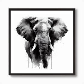 Elephant In Black And White 2 Poster