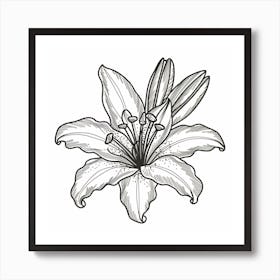 Lily Of The Valley 17 Art Print