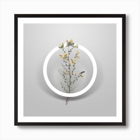 Vintage Adenocarpus Minimalist Flower Geometric Circle on Soft Gray n.0297 Art Print
