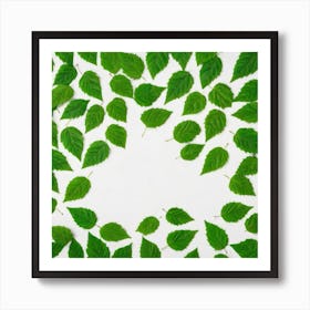 Green Leaves On White Background Art Print