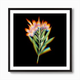 Prism Shift Oleander Nerium Botanical Illustration on Black n.0114 Art Print