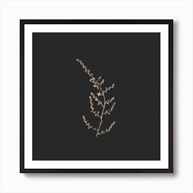 Delicate Golden Botanicals On Black Square Art Print