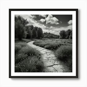 Path In The Grass Art Print