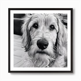 Black And White Dog Portrait Art Print