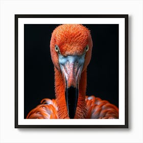 Flamingo Portrait 1 Art Print