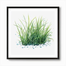 Water Drops On Grass Art Print