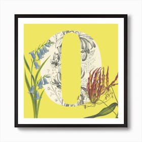 Botanical O Art Print