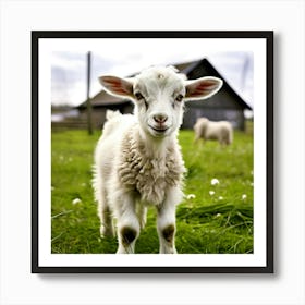 Grass Rural Green Goat Farm White Nature Field Mammal Milk Farming Farm Animal Domestic (4) Art Print