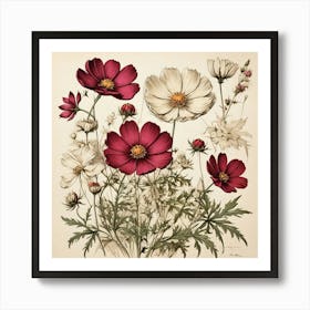 Cosmos Wildflower Vintage Botanical Art Print Art Print