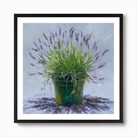 Lavender In A Pot 1 Poster