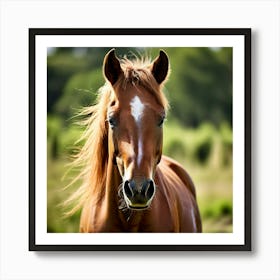 Grass Horse Mammal Animal Head Steady Offspring Beauty Riding Horse Mare Dam Cute Streng (3) Art Print