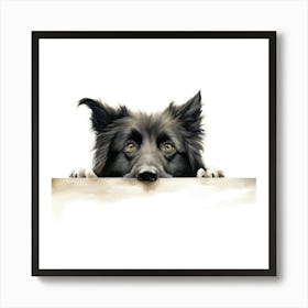 Border Collie 4 Art Print