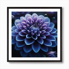 Indigo Dahlia 2 Art Print