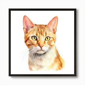 Hungarian Shorthair Cat Portrait 2 Art Print