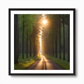 Road In The Forest Art Print