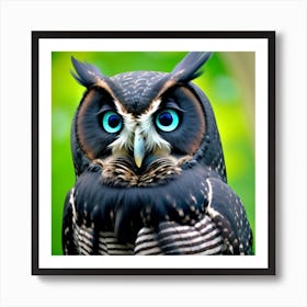Owl With Blue Eyes 3 Art Print