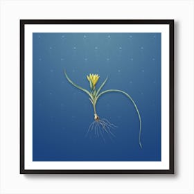 Vintage Ixia Recurva Botanical on Bahama Blue Pattern Art Print