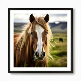 Grass Mane Head Equestrian Horse Rural White Iceland Nature Brown Field Mammal Pony Wil (1) 2 Art Print