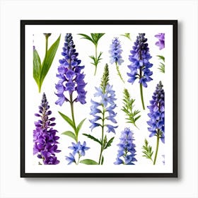 Nature Pattern Isolate White Arrangement Purple Flat Floral Blue Natural Herbal Medicine (10) Art Print