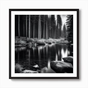 Black And White Forest 2 Art Print