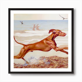 Dog On The Beach Art Print