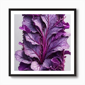 Purple Cabbage 7 Art Print