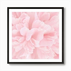 Pink Peony Poster