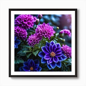 Purple Dahlias 1 Art Print