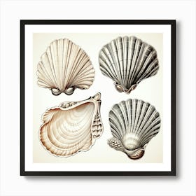 Set Of Seashells Art Print
