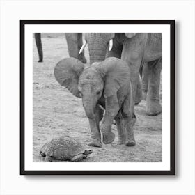 Elephant Baby 9641 Art Print