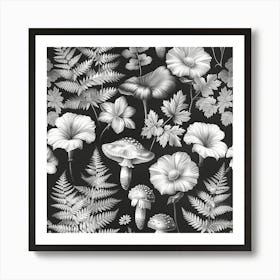 Black And White Ferns Art Print