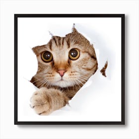 Cat Peeking Out Of A Hole Art Print