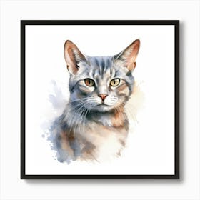 European Shorthair Cat Portrait 1 Art Print