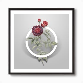 Vintage One Hundred Leaved Rose Minimalist Flower Geometric Circle on Soft Gray Art Print