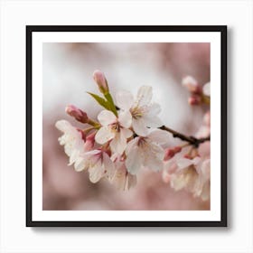 A close-up photograph of a delicately blooming cherry blossom tree in soft pastel tones, capturing the beauty and fleeting nature of spring. This elegant and timeless image can serve as a visually stunning piece of wall art to bring a touch of nature and serenity into any living space. Art Print