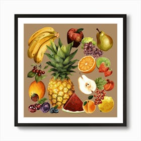 Fruits Botanical Art Art Print