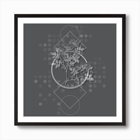 Vintage Rose Corymb Botanical with Line Motif and Dot Pattern in Ghost Gray n.0083 Art Print