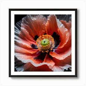 Ethereal poppy flower 7 Art Print