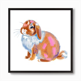 Holland Lop Rabbit 04 1 Art Print