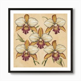 Orchids 3 A stunning illustration featuring vintage orchids. Each orchid is intricately detailed, showcasing the delicate petals,vibrant colors, and intricate patterns that make them unique. Art Print