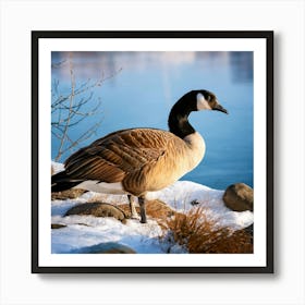 Firefly Canadian Goose Resting By The Winter Lake 57546 (2) Art Print