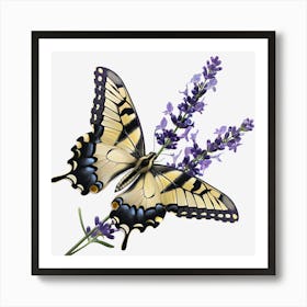 Butterfly On Lavender 1 Art Print