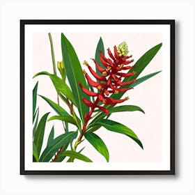 Alpines Purpurate Red Ginger Flower Art Print 1 Art Print