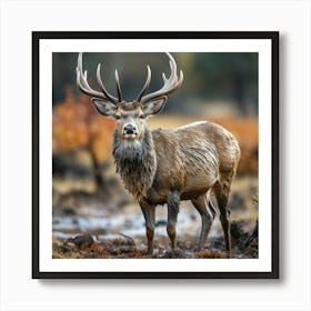 Deer Stag Art Print