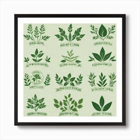 Green Leaf Set Art Print