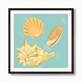 Seashells By The Seashore Square Art Print