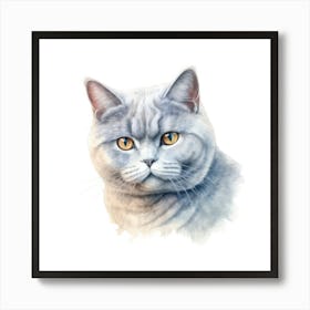 British Shorthair Cat Portrait 3 Art Print