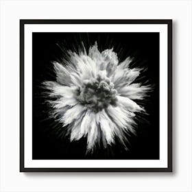 Firefly Striking Monochrome Contrast Of Hyper White And Super Black 6680 (2) Art Print